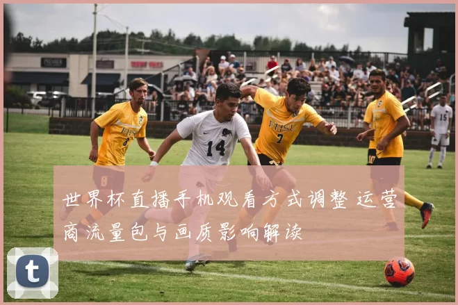 世界杯直播手机观看方式调整 运营商流量包与画质影响解读