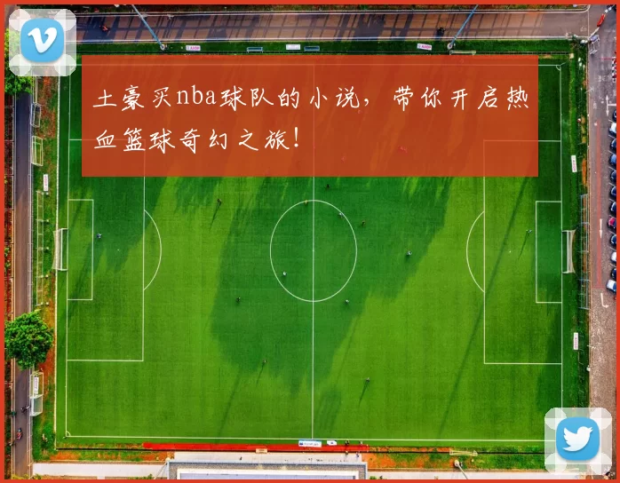 土豪买nba球队的小说,带你开启热血篮球奇幻之旅!
